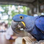 سبد خرید و پرداخت