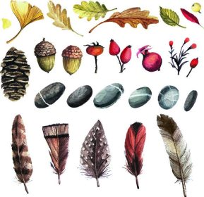 دانلود مجموعه وکتور عناصر طبیعت پاییزی به سبک آبرنگ. پرها ، سنگ ها ، توت ها ، بلوط ها ، برگهایی که به رنگ آبرنگ رنگ شده اند