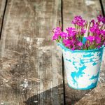 سبد خرید و پرداخت