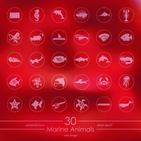دانلود حیوانات دریایی آیکون های مدرن برای رابط تلفن همراه در پس زمینه تاری