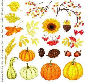 دانلود پاییز مجموعه ای از عناصر برای طراحی خود را با کدو تنبل، آفتابگردان، برگ، مخروط، بلوط، گوش، شاخه های روان و Orienta