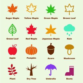 دانلود عناصر پاییز، آیکون infographic آیکون برداری