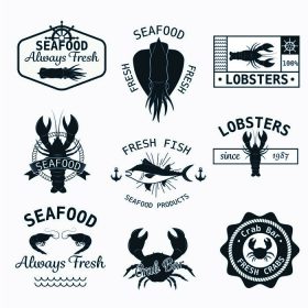 دانلود آرم های غذای دریایی تنظیم شده است. عناصر طراحی. نشان های برچسب و برچسب set_002