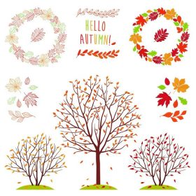 دانلود مجموعه ای بزرگ از تصاویر برگ های درخت های مختلف. عروسی از برگ های پاییز. دست کشیده پاییز برگ. سقوط برگ S