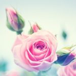 دانلود تصویر بافت پس زمینه دیوار بتنی تیره با سنگ گچ