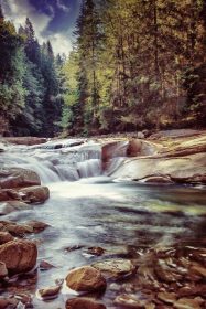 دانلود آبشار زیبا در جنگل، آب تازه بین سنگ در جنگل های کوهستانی، چشم انداز شگفت انگیز، زیبایی طبیعت اوکراین