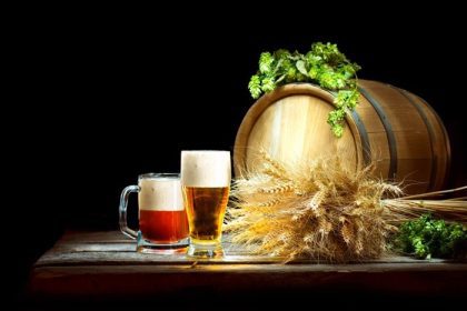 دانلود مفهوم آبجو بشکه چوبی و دو فنجان با آبجو و هوی تازه با گوش های گندم جدا شده بر روی پوست سیاه