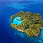 سبد خرید و پرداخت