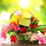 دانلود والپیپر پرتره چمن ببر حیات وحش گربه های بزرگ باغ وحش بیابان سبیل نورنبرگ جانوران پستاندار سونالفا گربه مانند پستاندار پوزه گوشتخوار ارگانیسم پروفایل teleconverter tiergartenn rnberg tiergartenfreunden rnbergev minoltaafh