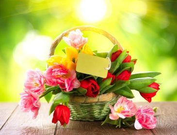 دانلود سبد گل های تعطیلات بهار با کارت تبریک. دسته گل زیبا از لاله های رنگارنگ بیش از طبیعت تاری
