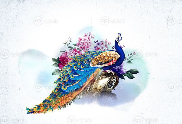 دانلود کاغذ دیواری طاووس