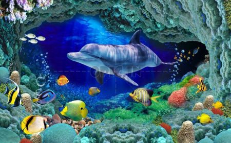 دانلود دیوار پس زمینه تلویزیون رنگ آمیزی دلفین 3D طبقه زیر آب