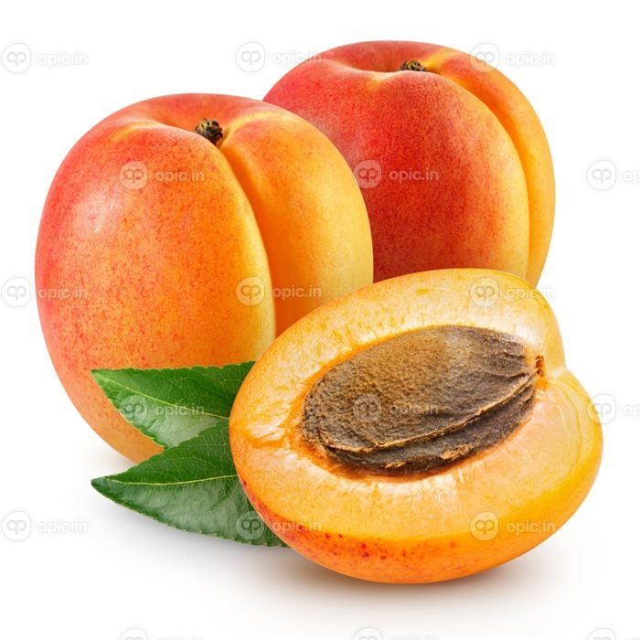 دانلود زردآلو تازه با برگ