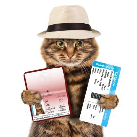 دانلود گربه خنده دار با گذرنامه و بلیط هواپیما ، جدا شده در background_001