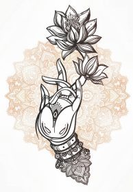 دانلود دست زیبا و بودا ، دست ، گل ، گل. تصویر برداری جدا شده از مودرا. زیبا د