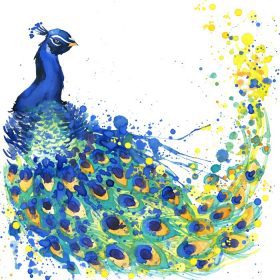 دانلود گرافیک تی شرت طاووس عجیب و غریب. تصویر طاووس با پس زمینه بافت آبرنگ چلپ چلوپ. غیرمعمول
