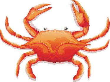 دانلود خرچنگ تازه را با پنجه های تیز ببندید