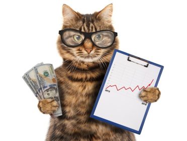 دانلود گربه خنده دار با پوشه ای برای ارائه. پول در دست صحنه تجارت