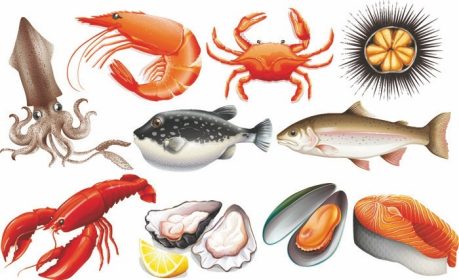 دانلود انواع مختلف غذاهای دریایی تازه