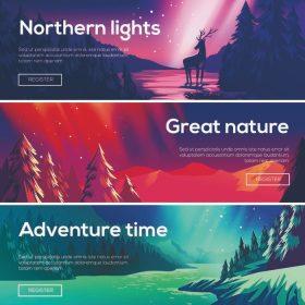 دانلود تصویر طراحی برای توسعه طراحی وب. منظره جنگل ، کوه ها ، چراغ های شمالی