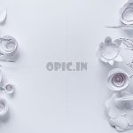 دانلود مجموعه آیکون برگ های پاییزی وکتور