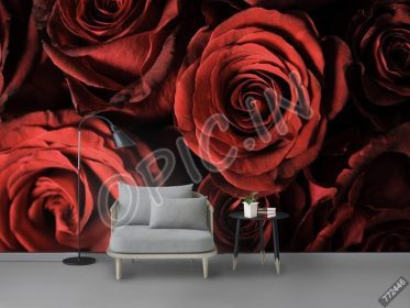 دانلود طرح کاغذ دیواری مدرن مینیمالیستی زیبا گل رز گل رز تلویزیون پس زمینه