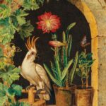 سبد خرید و پرداخت