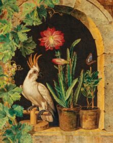 نقاشی کلاسیک A Cockadoo at the Window with Blooming Cactus and