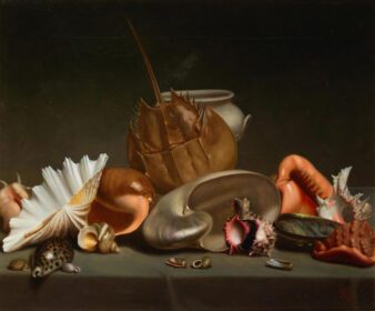 نقاشی کلاسیک زندگی بی جان با صدف های دریایی و نرم تنان 1875