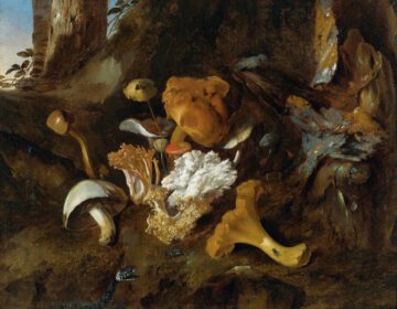 نقاشی کلاسیک طبیعت بی جان کف جنگلی با قارچ، پروانه و مار