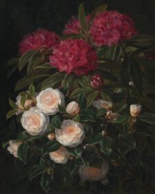 نقاشی کلاسیک Kamelier Og Rhododendron 1852