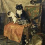 سبد خرید و پرداخت