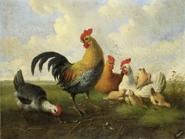 دانلود طرح تابلو een haan hasnnen en kuikens albertus verhoesen 1855