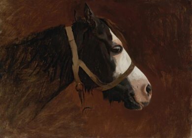 نقاشی کلاسیک نمایه یک اسب