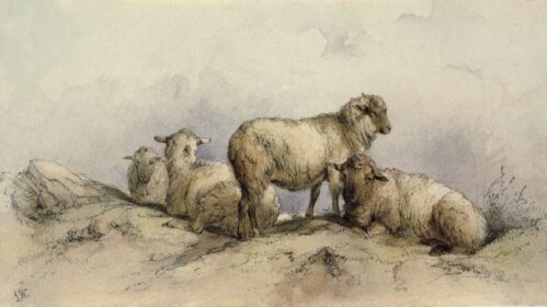 نقاشی کلاسیک گوسفند در منظره 1800 – 1899