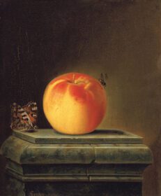 نقاشی کلاسیک زندگی بی جان با سیب و حشرات 1765