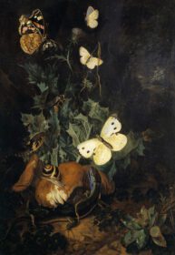 نقاشی کلاسیک زندگی بی جان با پروانه ها، مارمولک و مار