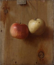 نقاشی کلاسیک دو سیب آویزان حدودا