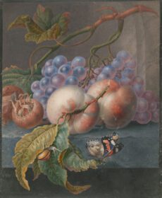 نقاشی کلاسیک Vruchten با een vlinder en een slak 1677 ملاقات کرد