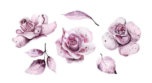 دانلود مجموعه وکتور گل رز و برگ زیبا به رنگ صورتی