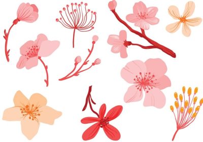 دانلود وکتور این مجموعه ای از وکتور گل های صورتی رایگان از جمله شکوفه هلو شاخه های شکوفه گیلاس و غیره است.