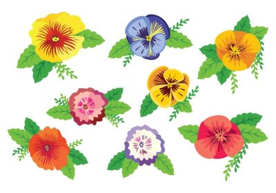 دانلود مجموعه وکتور گل و برگ های رنگارنگ پانسی