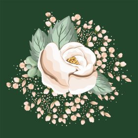 دانلود وکتور گل رز سفید با طرح وکتور نقاشی نقاشی