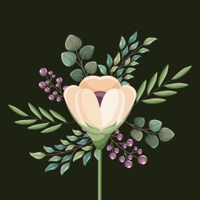 دانلود وکتور برگ گل تزئینی بذر طبیعی
