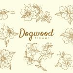 سبد خرید و پرداخت