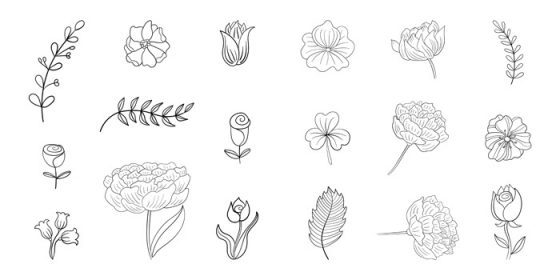 دانلود مجموعه وکتور گل های خطی ابله های گیاهی خط مشکی ساده روی سفید
