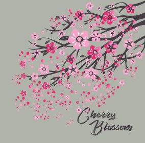 دانلود وکتور ساکورا ژاپن شاخه گیلاس با وکتور شکوفه گل