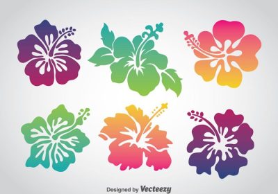 دانلود مجموعه وکتور مجموعه واریاسیون گل هاوایی به سبک رنگارنگ در زمینه سفید