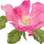 سبد خرید و پرداخت