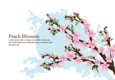 دانلود تصویر برداری از گل های شکوفه هلو در بهار عالی برای پس زمینه یا والپیپر